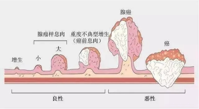 图片1.png 图片