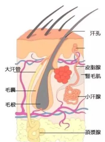 图片2.png 图片