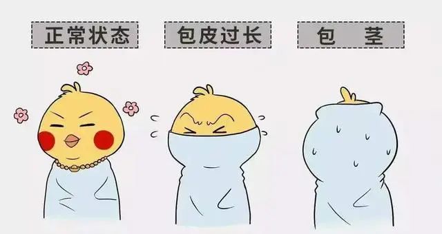 3.jpg 图片