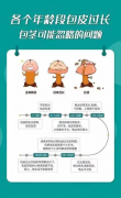 小JJ需要割吗？暑假将迎来包皮手术黄金
