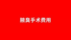 腋臭手术费用一般得多少钱
