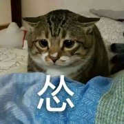 包皮困扰，可别不当回事！