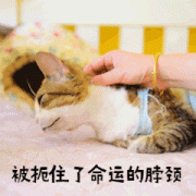 警惕！近期多发！这种症状很多人有…