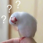 有一种痛，夏季高发，提醒：做好这几