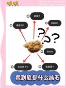 别让＂小石头＂绊倒健康！给结石患者