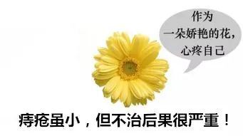 742306a6bb706599.jpg