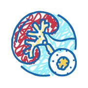 小小的石头大大的疼痛｜泌尿系结石的