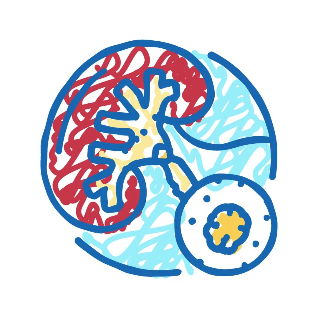 vecteezy_urolithiasis-urology-icon-doodle-illustration_62468839.jpg