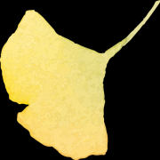 不只是痛！结石隐藏的这些危害，每一