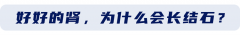 为什么越来越多人得肾结石？专家提醒