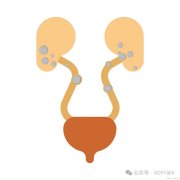 夏天是结石的“狂欢季”？这份超全防