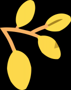 【石狮肛肠医院】肛肠疾病里的“混合