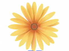 【石狮痔疮医院】“菊花” 疼别硬扛！