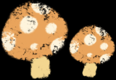 【石狮看曲张静脉好的医院】告别“小