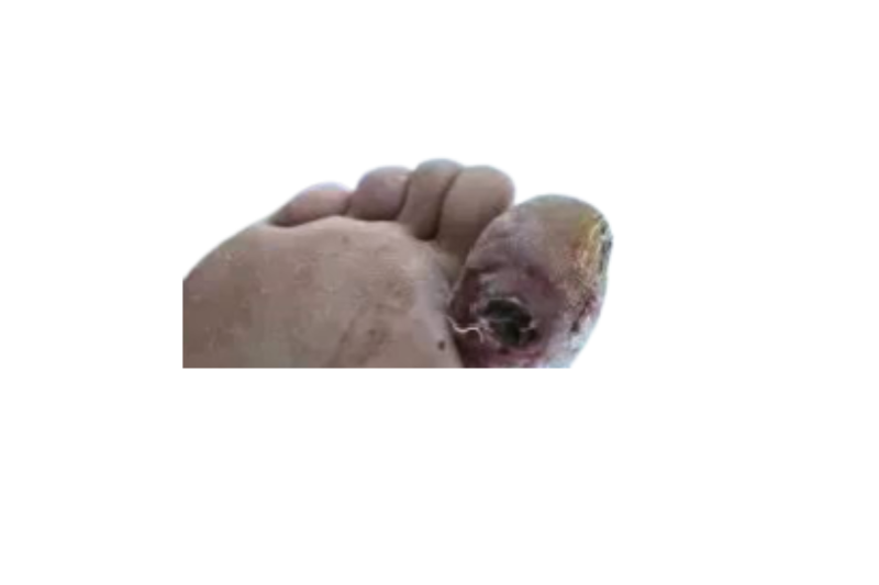 图片可能1.png