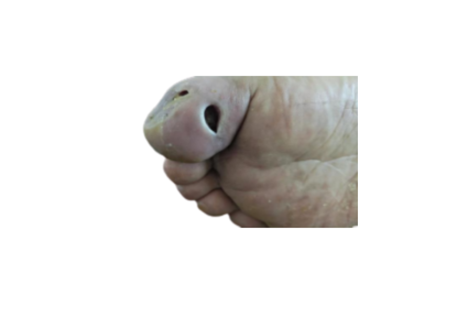图片可能3.png