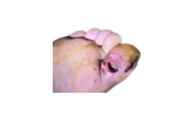 图片可能2.png