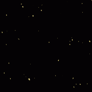 双节无休 就医无忧 | 石狮现代医院“国