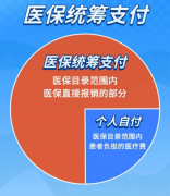 医保统筹支付、个人自付、个人自费分