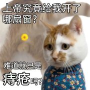 拒绝 “坐立难安”！这份痔疮预防 + 治