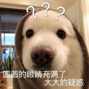 便血、脱出只能“挨一刀”？这种微创