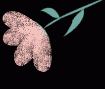 HPV感染不可怕，科学应对是关键！