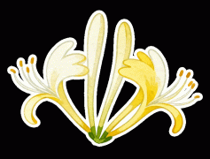 让石头“开口说话” ，怎么防?不再犯！